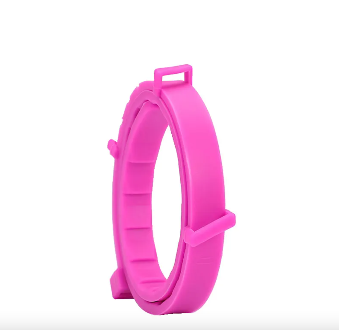 Anti-Flea Puppy Dog Collar